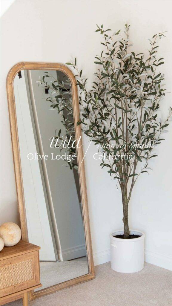 wild olive lodge running springs california