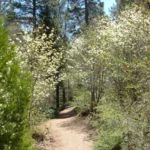 Heaps Peak Arboretum
