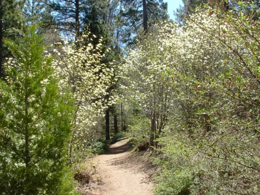 Heaps Peak Arboretum